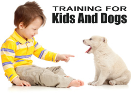 Training for Kids and Dogs